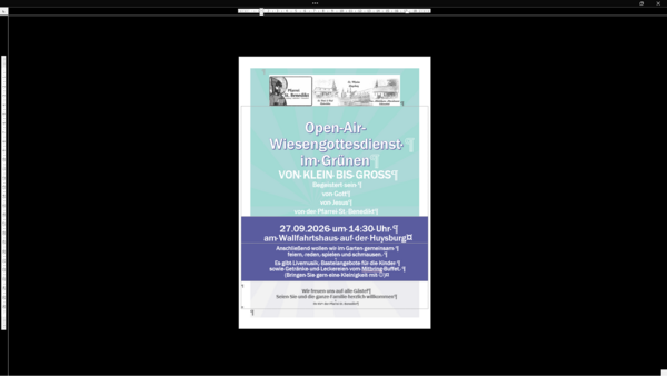 Bild vergr&ouml;&szlig;ern: Screenshot (5)
